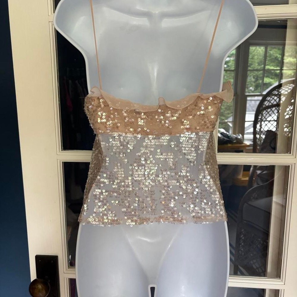 Zara Pink Sequin Camisole Top, featuring sheer mesh ruffled chiffon trim SZ XS - Picture 2 of 7